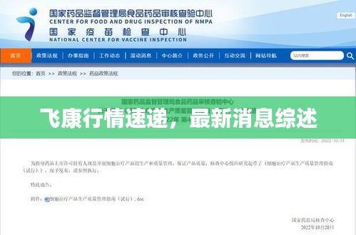 飛康行情速遞，最新消息綜述