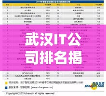 武漢IT公司排名揭秘，十大領(lǐng)先企業(yè)榜單