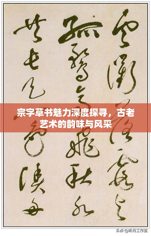 宗字草書魅力深度探尋，古老藝術(shù)的韻味與風(fēng)采