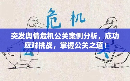 突發(fā)輿情危機(jī)公關(guān)案例分析，成功應(yīng)對(duì)挑戰(zhàn)，掌握公關(guān)之道！