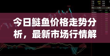 今日鰱魚價(jià)格走勢分析，最新市場行情解讀