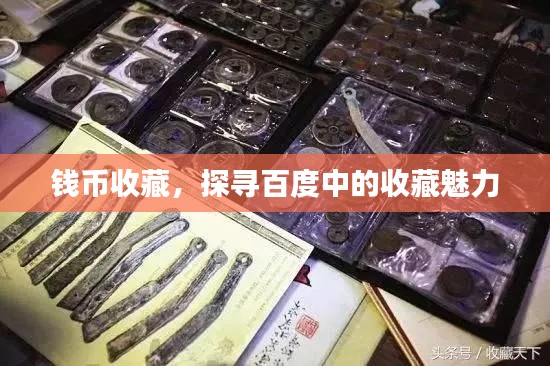 錢幣收藏，探尋百度中的收藏魅力