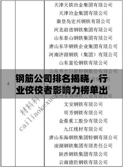 鋼筋公司排名揭曉，行業(yè)佼佼者影響力榜單出爐！