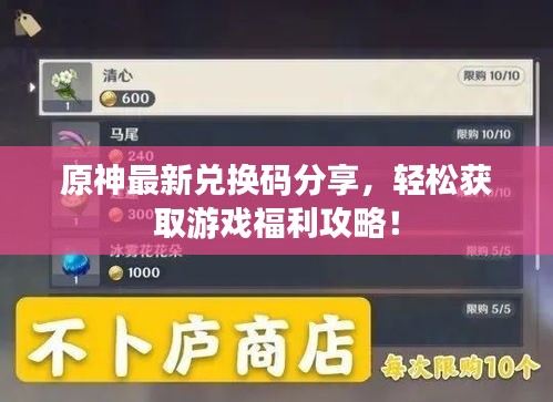 原神最新兌換碼分享，輕松獲取游戲福利攻略！