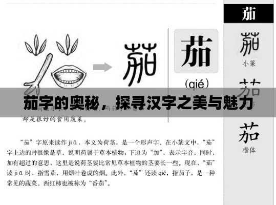 茄字的奧秘，探尋漢字之美與魅力