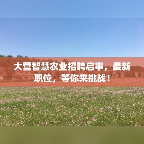大營(yíng)智慧農(nóng)業(yè)招聘啟事，最新職位，等你來挑戰(zhàn)！