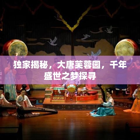 獨(dú)家揭秘，大唐芙蓉園，千年盛世之夢探尋