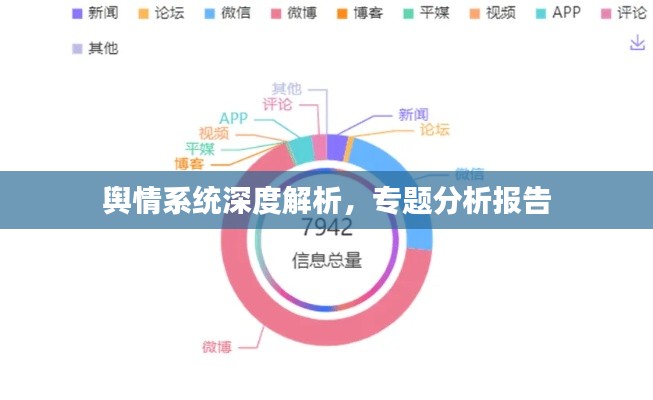 輿情系統(tǒng)深度解析，專題分析報(bào)告