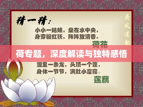 荷專題，深度解讀與獨特感悟