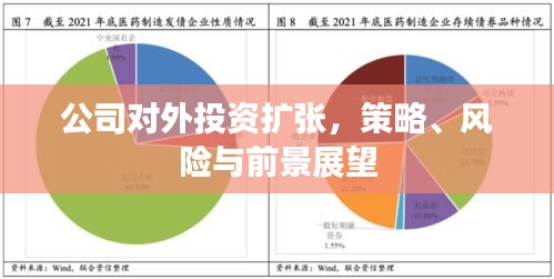 公司對(duì)外投資擴(kuò)張，策略、風(fēng)險(xiǎn)與前景展望