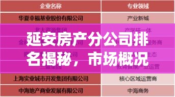 延安房產(chǎn)分公司排名揭秘，市場(chǎng)概況一網(wǎng)打盡