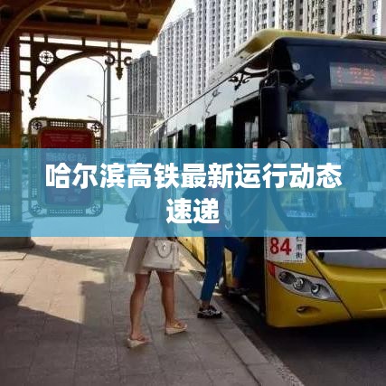 哈爾濱高鐵最新運(yùn)行動(dòng)態(tài)速遞