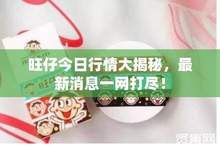 旺仔今日行情大揭秘，最新消息一網打盡！