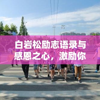 白巖松勵(lì)志語錄與感恩之心，激勵(lì)你前行的力量之源